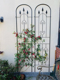 European Style Wrought Iron Plant Climbing Trellis for Roses and Flowers, Outdoor Garden Screen