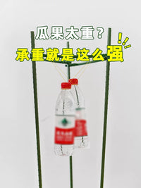 Plant Support Stakes for Climbing Vines, Tomatoes, Eggplants, Cucumbers, and Roses