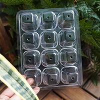 Seedling Starter Trays with Humidity Dome and Base for Succulents and Plants