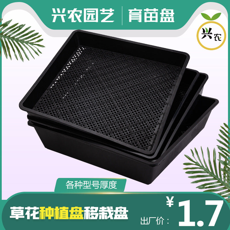 Roof Garden Succulent Planter Tray Square Rectangular Seedling Tray for Sedum and Vegetable Cultivation