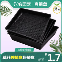 Roof Garden Succulent Planter Tray Square Rectangular Seedling Tray for Sedum and Vegetable Cultivation