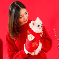 Festive Christmas & New Year Pet Hoodie for Small Dogs & Cats