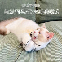 CFA-Grade Cat Teaser Wand with Replaceable Feather and Bell Heads, Wooden Handle