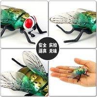 Insect Life Cycle Figurines Educational Toy Set