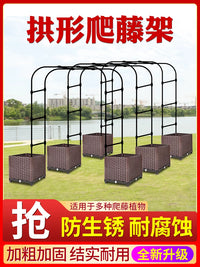 Garden Arch Trellis for Climbing Plants, Metal Rose Archway for Outdoor Patio and Yard