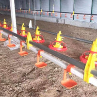 Automatic Chicken Feeding and Watering System Equipment Accessories for Poultry Farms