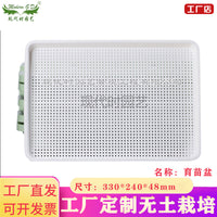 Hydroponic Seed Sprouting Tray with Optional Multi-Tier Rack for Indoor Gardening