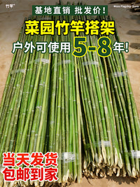 Natural Bamboo Garden Stakes for Plant Support and Trellises