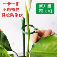 Garden Plant Support Stakes for Flowers, Tomato Vines and Climbing Plants