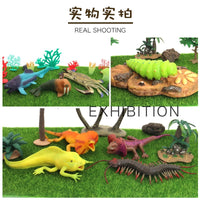 Realistic Soft Silicone Lizard and Insect Animal Models for Kids