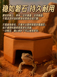 Reptile Ceramic Humidifying Hideaway Cave for Lizards, Geckos, Snakes, and Spiders