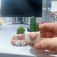 Heart-shaped Cartoon Succulent Planter Pots with Tray, Mini Creative Desktop Plant Pots