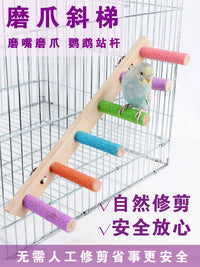 Bird Perch Sanded Stand Pole Parrot Claw Grinding Teeth Grinding Stand Bar Budgie Cockatiel Wooden Stick Toy Cage Perch Accessories