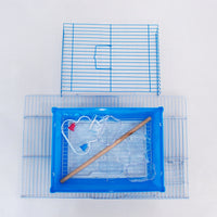 Small to Medium Splash-Proof Parrot Bird Cage for Budgies Cockatiels, Iron Wire Cage, Export Quality