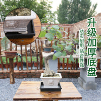Flower Pot Saucer Square Deepened Thickened PP Resin Water Catch Tray