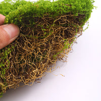 Artificial Moss for Landscaping and Micro-Landscape Decor