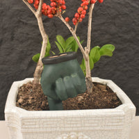 Ceramic Finger Drip Irrigator for Potted Plants - Automatic Watering Device