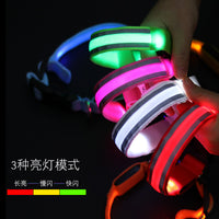 USB Rechargeable LED Light-Up Dog Collar for Night Walking with Reflective Material