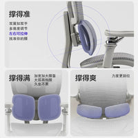 Ergonomic Dual-Drive Lumbar Support Office Chair with Footrest and 8D Armrests