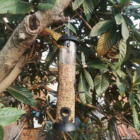 Outdoor Automatic Bird Feeder for Garden and Yard, Hanging Seed Dispenser