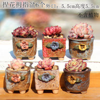 Breathable Ceramic Succulent Planter Pot Set with Drainage for Indoor Outdoor Plants