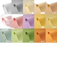 Macaron Color Professional Photography Background Paper for Still Life Product Shooting Pure Color Cardboard