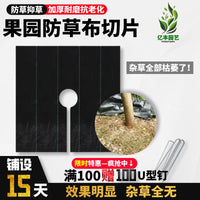 Weed Barrier Fabric Sheets for Orchard and Greenhouse Use, Durable Ground Cover Film with Fixing Pegs