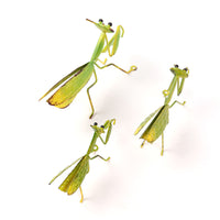 Metal Praying Mantis Garden Silhouette Decor