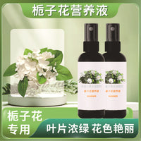 Gardenia Liquid Fertilizer for Acid-Loving Plants, Promotes Flowering and Prevents Yellow Leaves