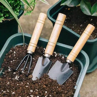 Gardening Tool Set for Potted Plants and Succulents, Includes Trowel, Shovel, and Cultivator