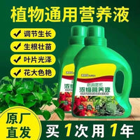Universal Liquid Plant Nutrient Solution for Potted Plants and Hydroponics, 500ml