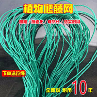Plant Trellis Netting for Climbing Vegetables and Fruits