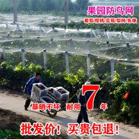 Durable Anti-Bird Netting for Fruit Trees, Gardens, and Ponds - UV Resistant Nylon Mesh Protection