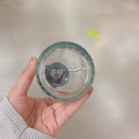 Vintage Glass Plant Mister with Pressure Sprayer for Indoor Plants and Disinfection, 200ml