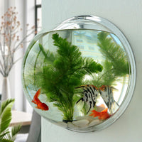 Wall-Mounted Acrylic Fish Tank Mini Round Aquarium for Home Decor