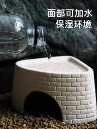 Reptile Hideout and Humidifying Cave for Lizards, Spiders, and Snakes