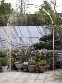 Large European Vintage Wrought Iron Garden Arch Trellis for Climbing Plants and Yard Decor