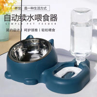 Pet Double Bowl with Automatic Water Dispenser, Elevated Stainless Steel Food and Water Bowls for Cats and Small Dogs