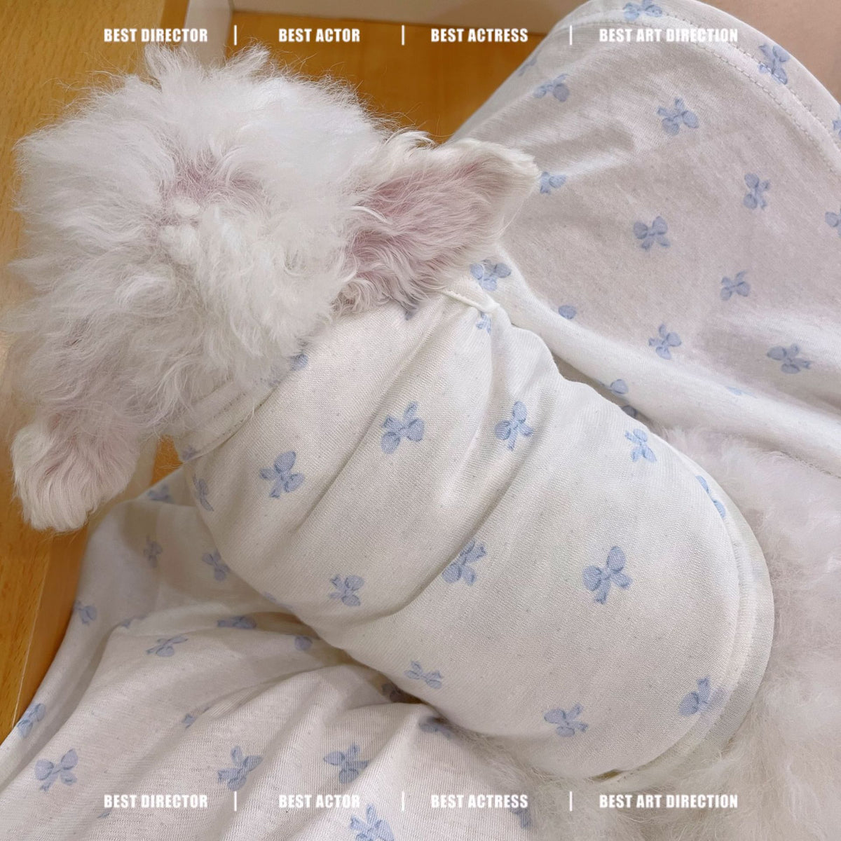 Pet Dog Cat Matching Thin Cotton Vest Pajama Dress for Spring/Summer - Teddy Bichon