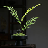 Preserved Moss Bonsai Wabi-Sabi Style Artificial Plant for Office & Hotel Decor