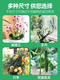 Orchid and Plant Support Stakes for Potted Plants, Anti-Toppling Garden Plant Support Rods