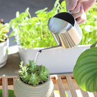 Mini Stainless Steel Watering Can for Indoor Plants & Succulents, Small Garden Sprinkler Pot