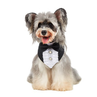 Tanpopo Pet Wedding Bandana with Hook and Loop Fastener