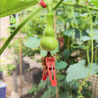 Greenhouse Film Clips for Plastic Sheeting - Durable Fasteners for Warmhouses and Garden Structures