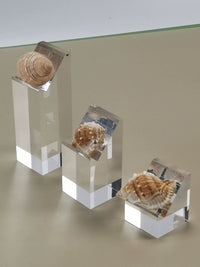Acrylic Slanted Display Stand with Hooked Base and Baffle for Jewelry and Small Items