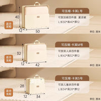 Visible Window Compression Storage Bags for Clothing and Bedding, 4-Piece Set, Dustproof Home Organization for Travel