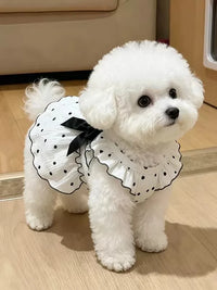 Pet Dog Summer Thin Princess Dress with Traction D-Ring for Small Dogs