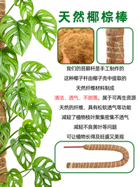 Bendable Coir Moss Pole for Climbing Plants, Plant Support Stake for Potted Plants