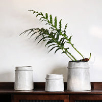 Nordic Ins Style Vintage Cement Planter with Moss Green Finish for Living Room Balcony Decor