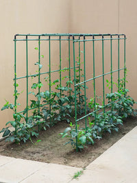 Garden Trellis for Climbing Plants, Vegetables, Tomatoes, Beans, and Flowers - Plant Support Frame